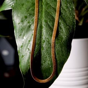 Gold Plated Snake Necklace- Stainless Steel SALE